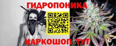 прущий лед Будённовск