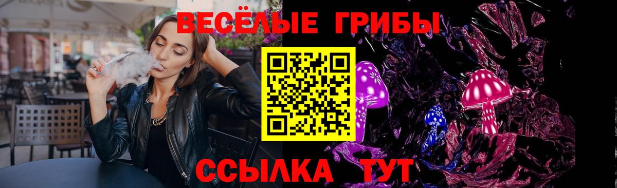 Галлюциногенные грибы Psilocybine cubensis  Вход с VPN  Ленинск-Кузнецкий 